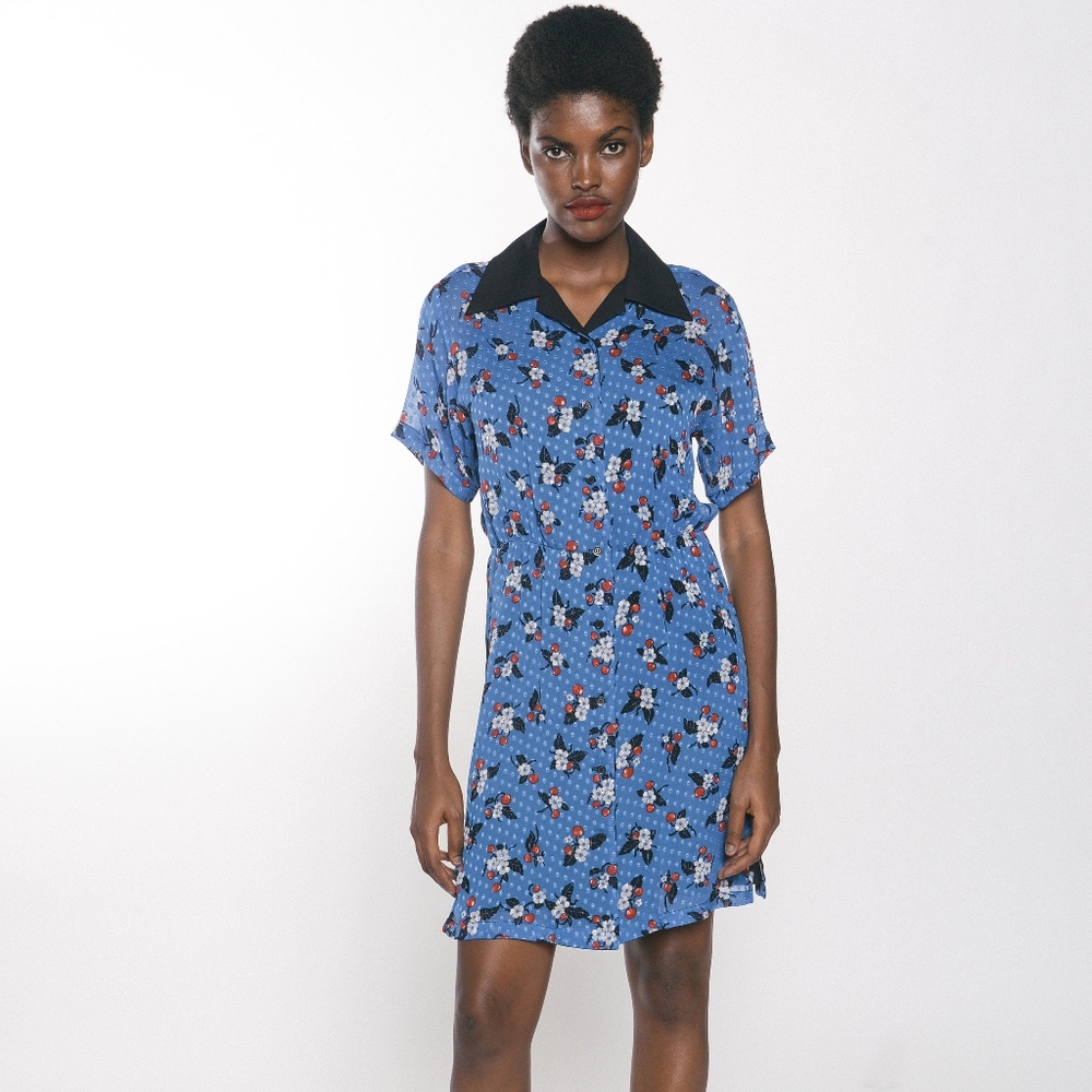 Anna Sui Floral Cherry Silk Blue Dress with Black Collar Button Up